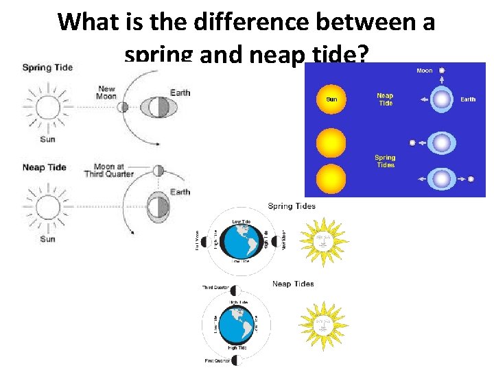 What is the difference between a spring and neap tide? 