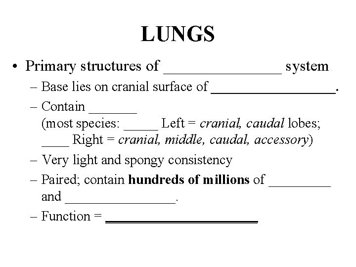 LUNGS • Primary structures of ________ system – Base lies on cranial surface of