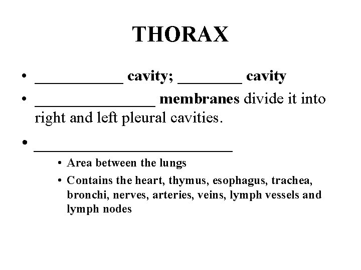 THORAX • ______ cavity; ____ cavity • ________ membranes divide it into right and