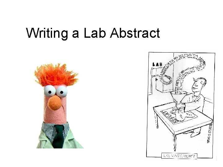 Writing a Lab Abstract 