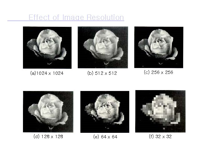 Effect of Image Resolution (a)1024 x 1024 (b) 512 x 512 (d) 128 x