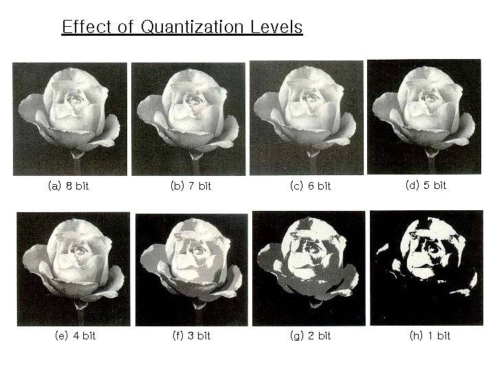 Effect of Quantization Levels (a) 8 bit (e) 4 bit (b) 7 bit (c)