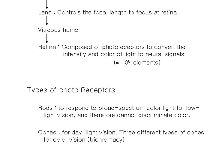 Lens : Controls the focal length to focus at retina Vitreous humor Retina :