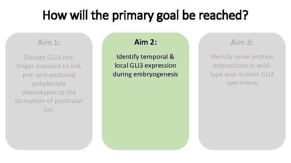 How will the primary goal be reached? Aim 1: Aim 2: Aim 3: Disrupt