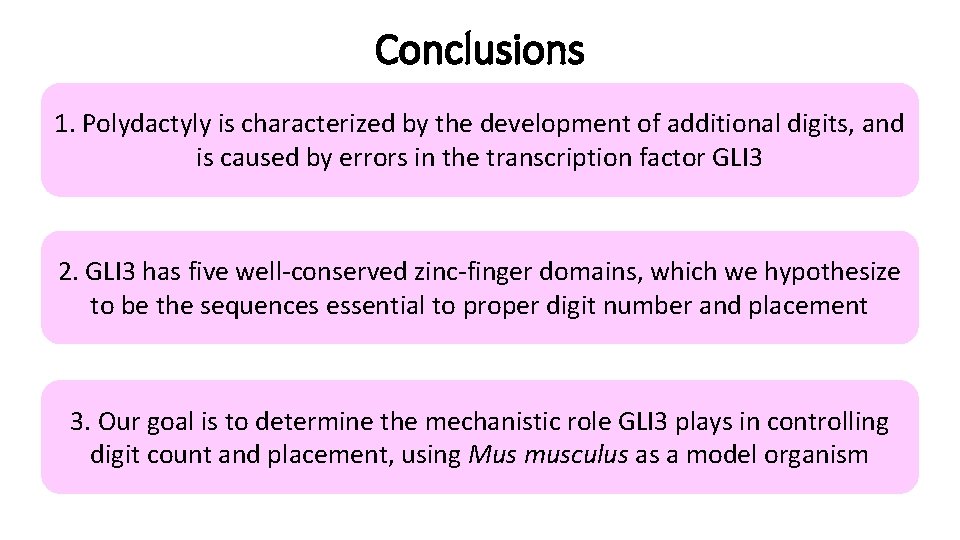 Conclusions 1. Polydactyly is characterized by the development of additional digits, and is caused