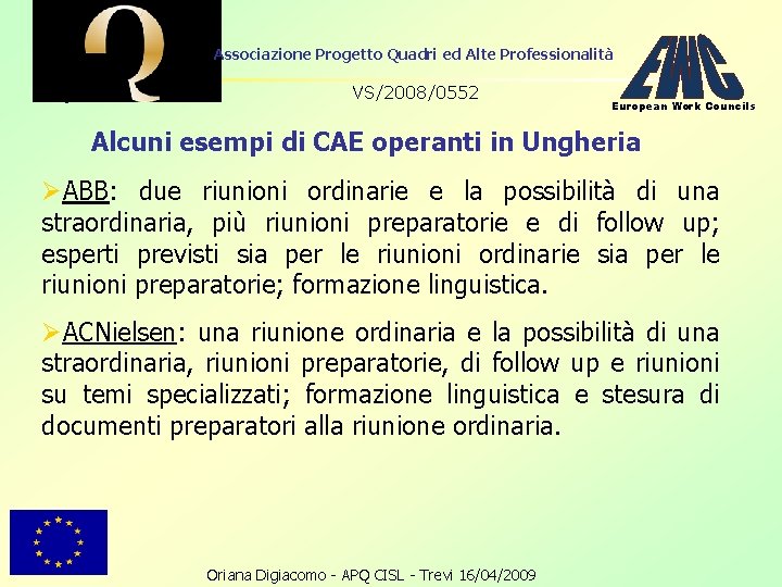 Associazione Progetto Quadri ed Alte Professionalità VS/2008/0552 European Work Councils Alcuni esempi di CAE