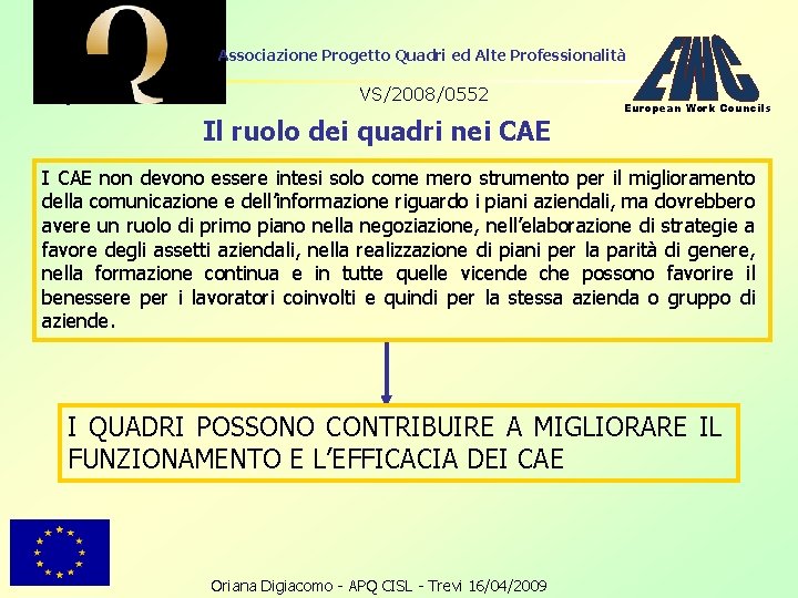 Associazione Progetto Quadri ed Alte Professionalità VS/2008/0552 Il ruolo dei quadri nei CAE European