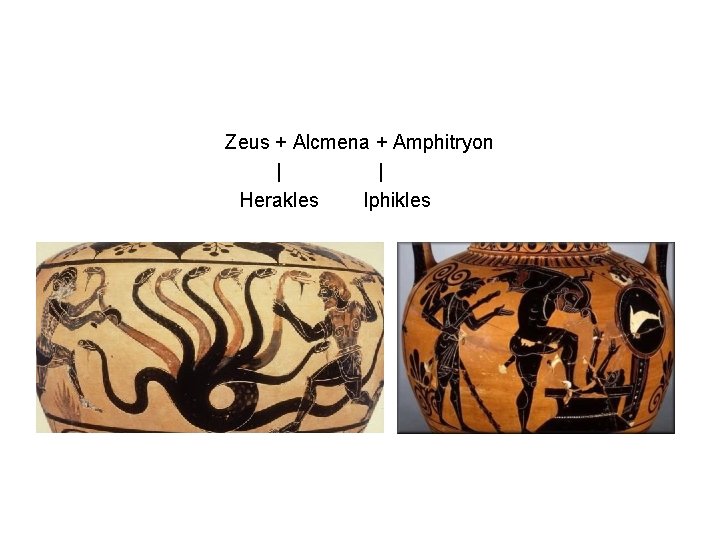 Zeus + Alcmena + Amphitryon | | Herakles Iphikles 