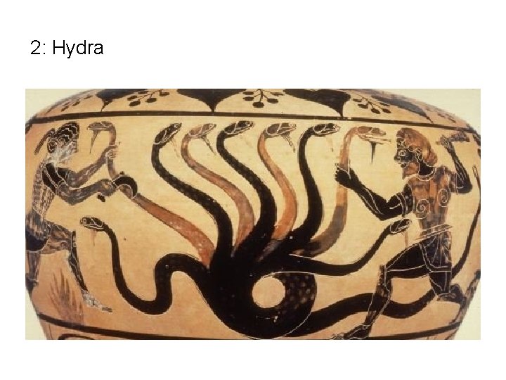 2: Hydra 