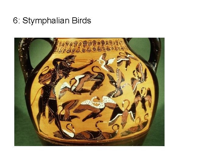6: Stymphalian Birds 