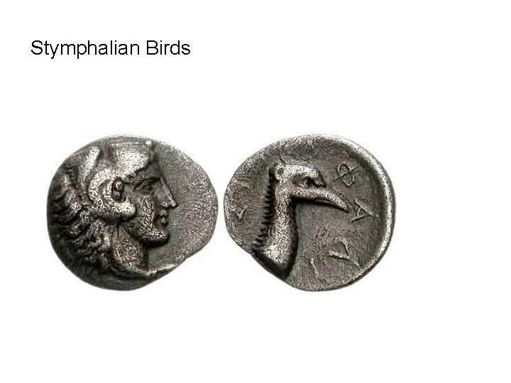 Stymphalian Birds 