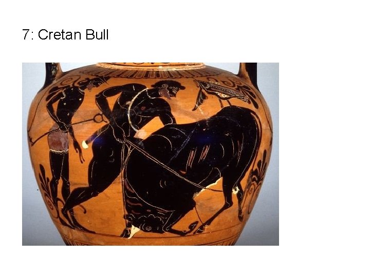 7: Cretan Bull 