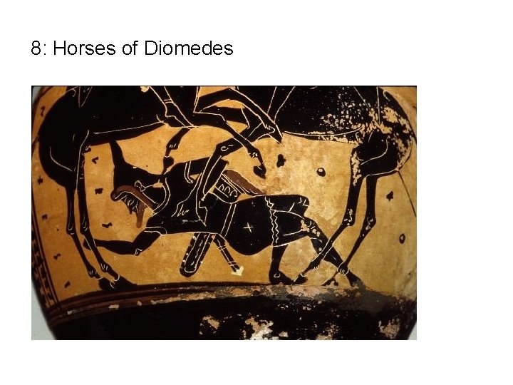 8: Horses of Diomedes 