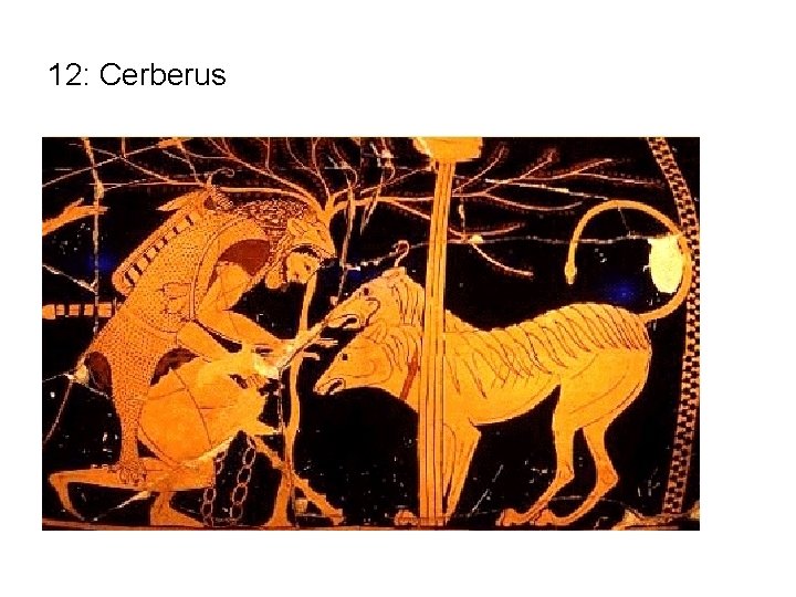 12: Cerberus 