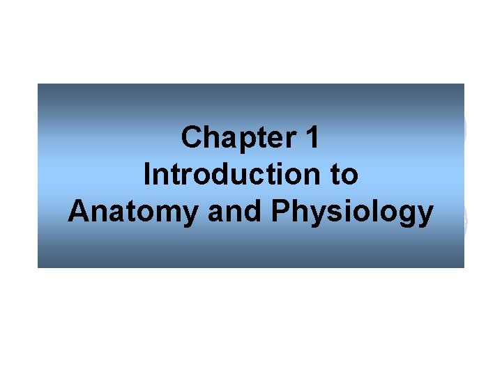 Chapter 1 Introduction to Anatomy and Physiology 