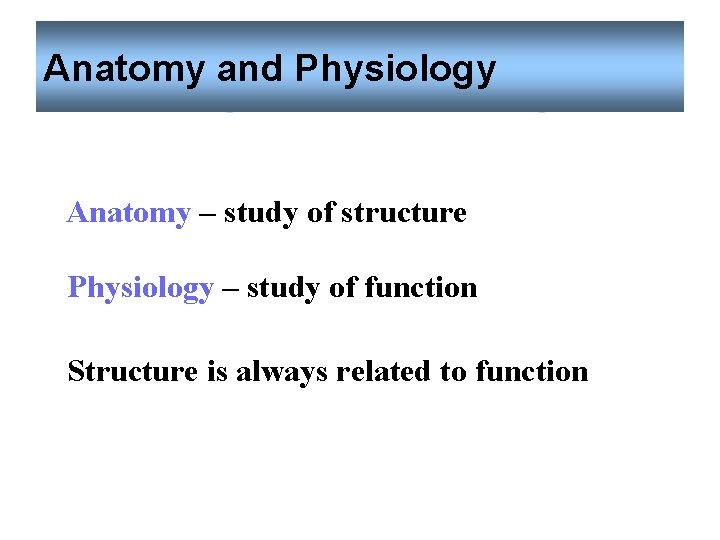 Anatomy and Physiology Anatomy – study of structure Physiology – study of function Structure