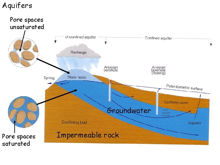 Aquifers Pore spaces unsaturated Groundwater Pore spaces saturated Impermeable rock 