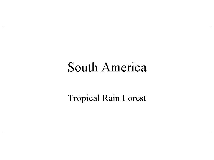 South America Tropical Rain Forest 