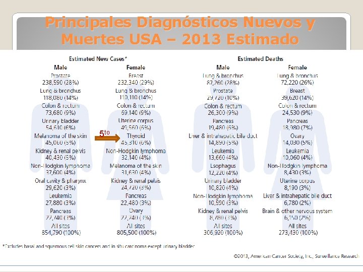 Principales Diagnósticos Nuevos y Muertes USA – 2013 Estimado 5 to 