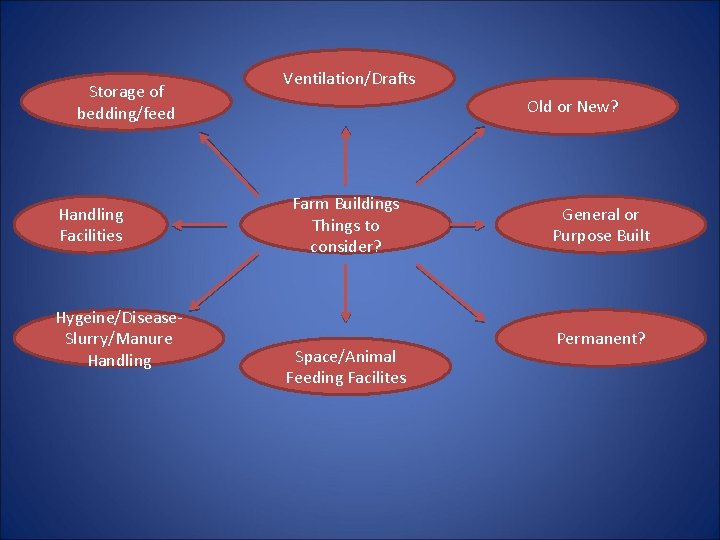 Storage of bedding/feed Handling Facilities Hygeine/Disease. Slurry/Manure Handling Ventilation/Drafts Old or New? Farm Buildings