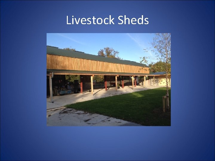 Livestock Sheds 