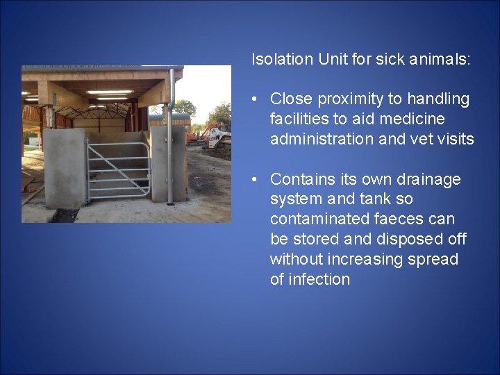 Isolation Unit for sick animals: • Close proximity to handling facilities to aid medicine