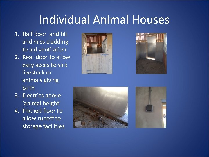 Individual Animal Houses 1. Half door and hit and miss cladding to aid ventilation