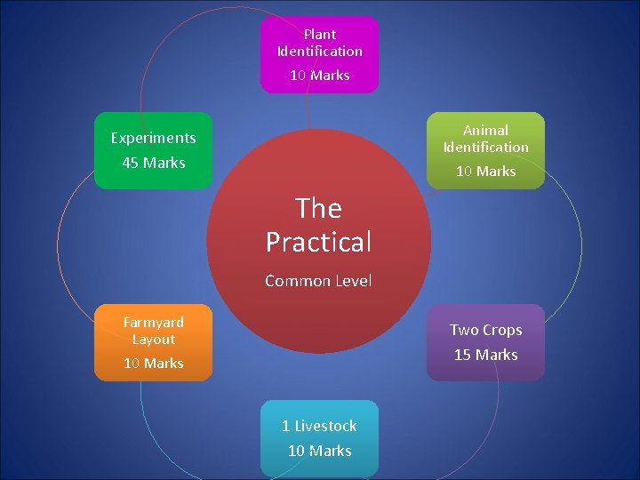 Plant Identification 10 Marks Animal Identification 10 Marks Experiments 45 Marks The Practical Common