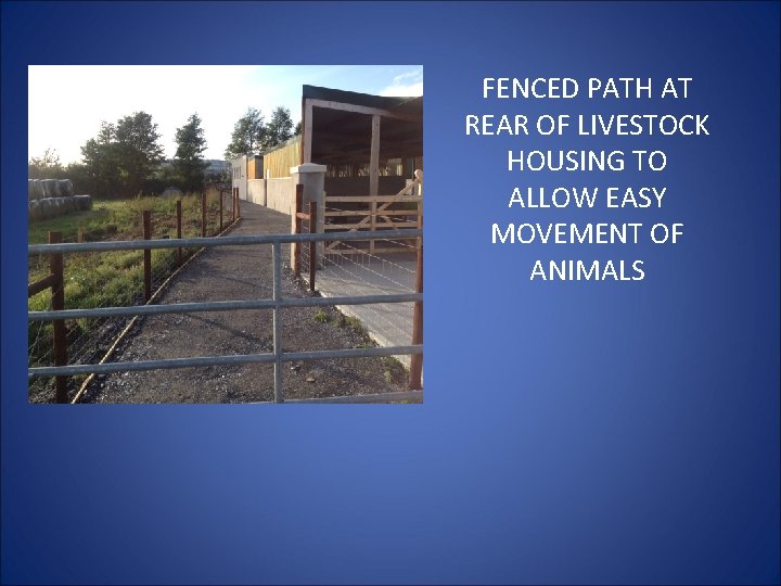 FENCED PATH AT REAR OF LIVESTOCK HOUSING TO ALLOW EASY MOVEMENT OF ANIMALS 