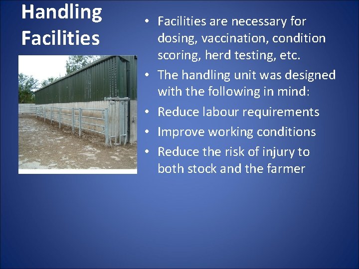 Handling Facilities • Facilities are necessary for dosing, vaccination, condition scoring, herd testing, etc.