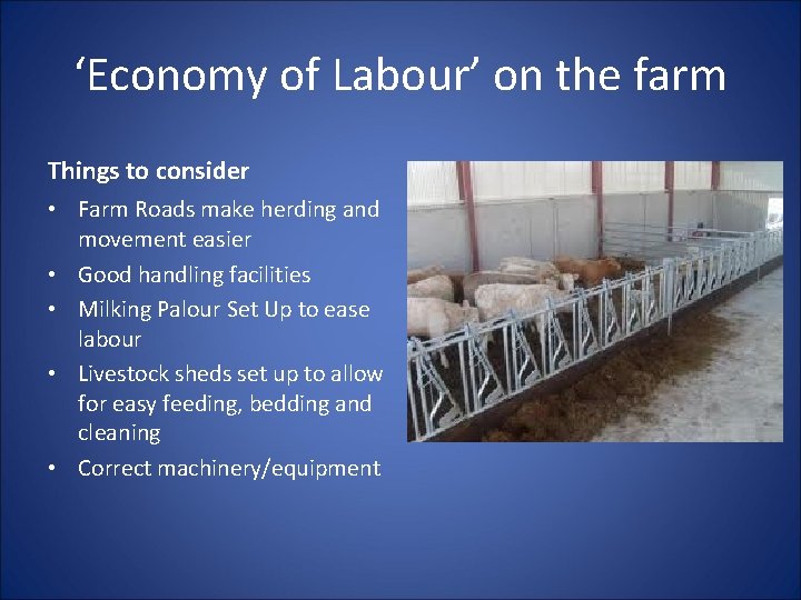 ‘Economy of Labour’ on the farm Things to consider • Farm Roads make herding