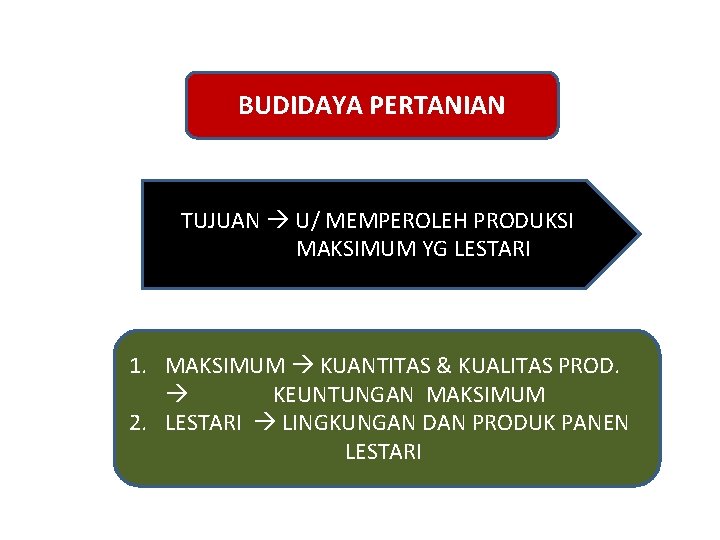 BUDIDAYA PERTANIAN TUJUAN U/ MEMPEROLEH PRODUKSI MAKSIMUM YG LESTARI 1. MAKSIMUM KUANTITAS & KUALITAS