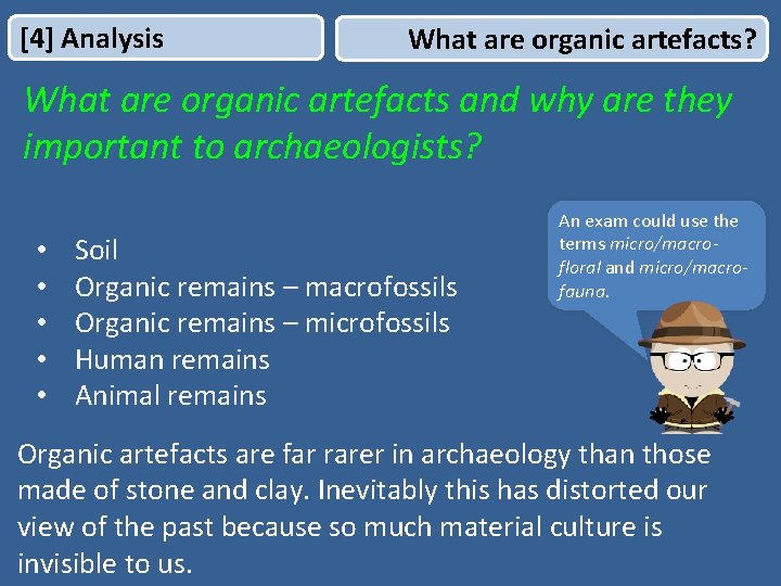 [4] Analysis What are organic artefacts? What are organic artefacts and why are they
