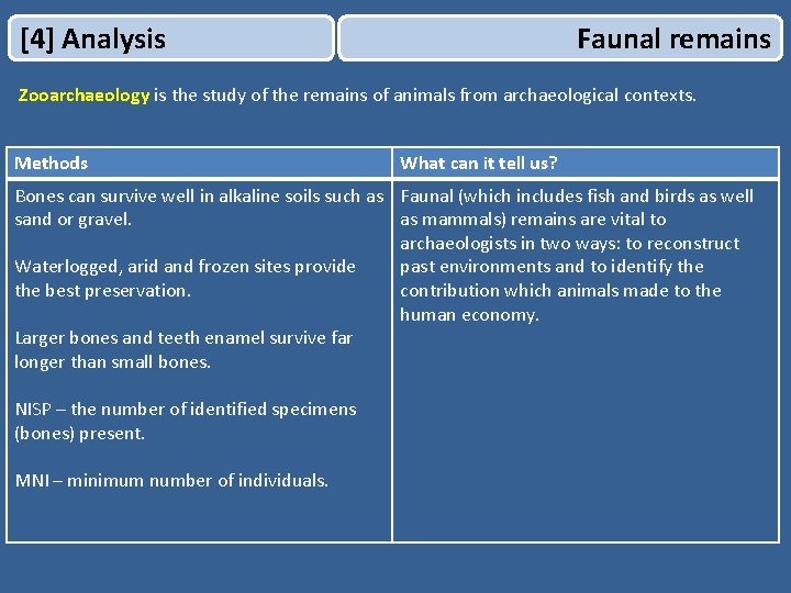 [4] Analysis Faunal remains Zooarchaeology is the study of the remains of animals from