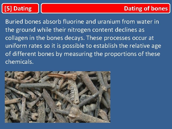 [5] Dating of bones Buried bones absorb fluorine and uranium from water in the