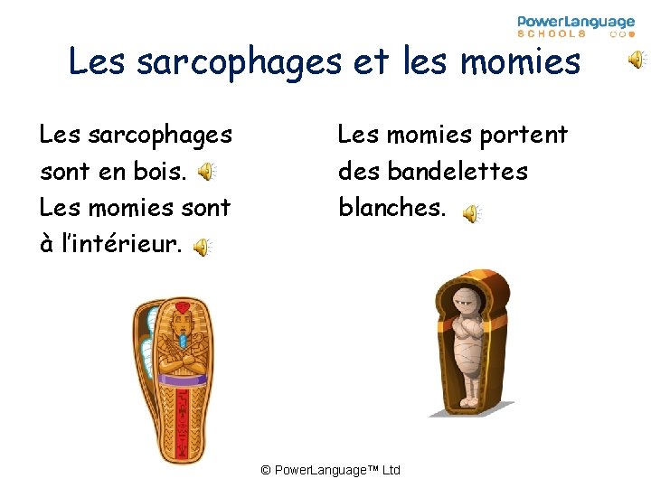 Les sarcophages et les momies Les sarcophages sont en bois. Les momies sont à