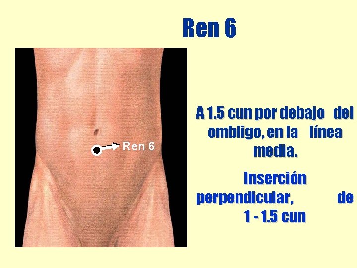 Ren 6 A 1. 5 cun por debajo del ombligo, en la línea media. Ren 6 A 1. 5 cun por debajo del ombligo, en la línea media.