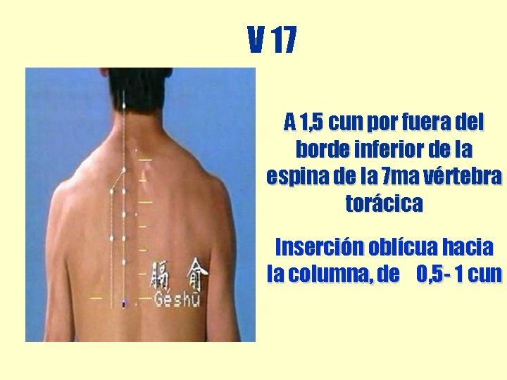 V 17 A 1, 5 cun por fuera del borde inferior de la espina V 17 A 1, 5 cun por fuera del borde inferior de la espina