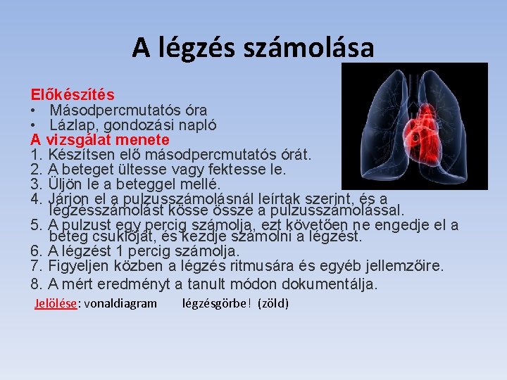 A légzés számolása Előkészítés • Másodpercmutatós óra • Lázlap, gondozási napló A vizsgálat menete