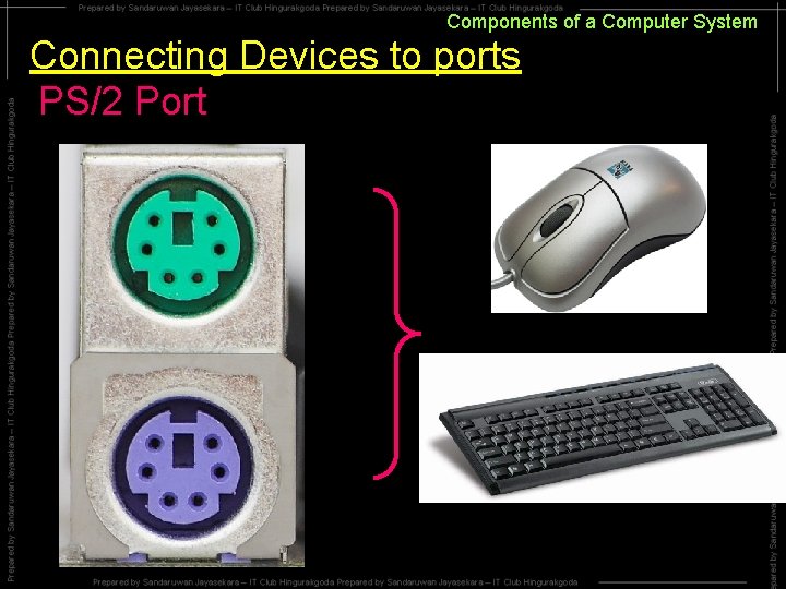 Components of a Computer System Connecting Devices to ports PS/2 Port Components of a Computer System Connecting Devices to ports PS/2 Port