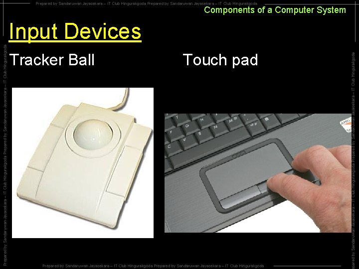 Components of a Computer System Input Devices Tracker Ball Touch pad Components of a Computer System Input Devices Tracker Ball Touch pad
