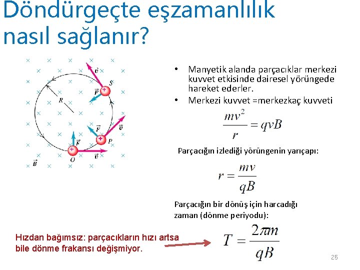 Döndürgeçte eşzamanlılık nasıl sağlanır? • Manyetik alanda parçacıklar merkezi kuvvet etkisinde dairesel yörüngede hareket