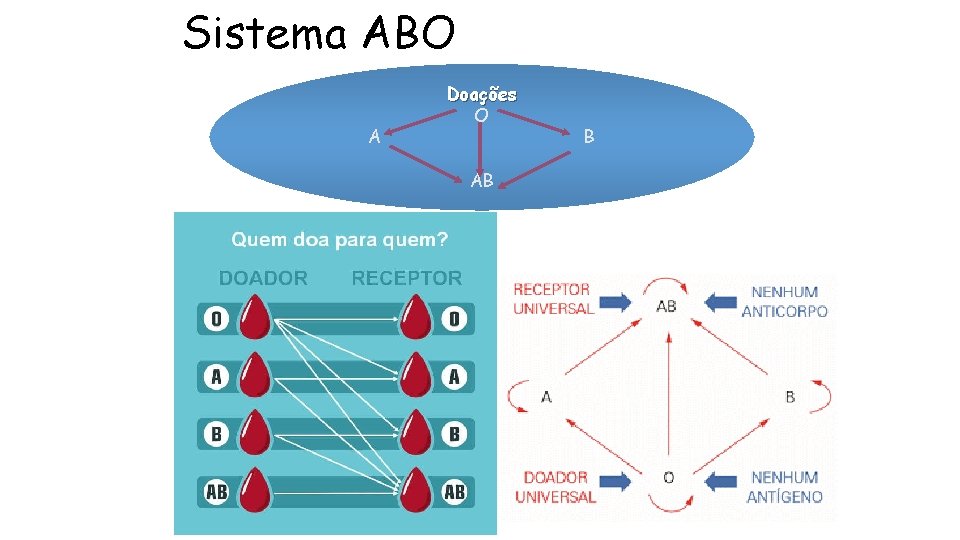 Sistema ABO A Doações O AB B 