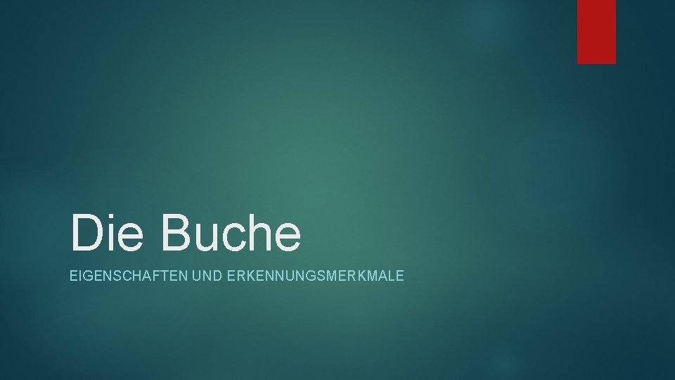 Die Buche EIGENSCHAFTEN UND ERKENNUNGSMERKMALE 