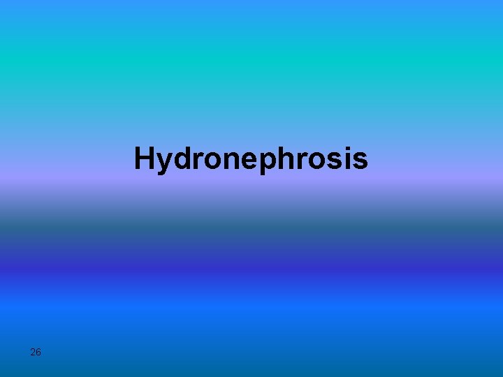 Hydronephrosis 26 