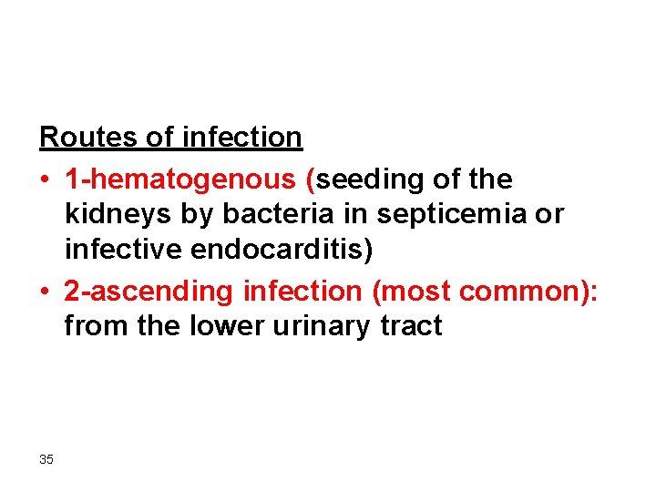 Routes of infection • 1 -hematogenous (seeding of the kidneys by bacteria in septicemia