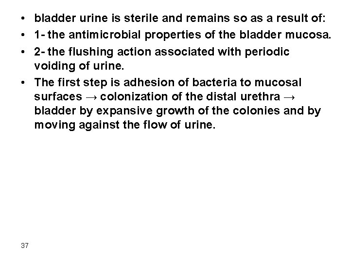 • bladder urine is sterile and remains so as a result of: •