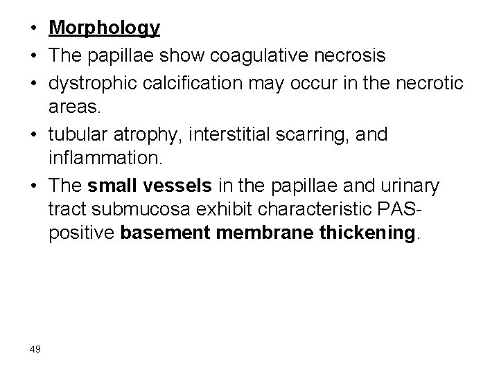 • Morphology • The papillae show coagulative necrosis • dystrophic calcification may occur