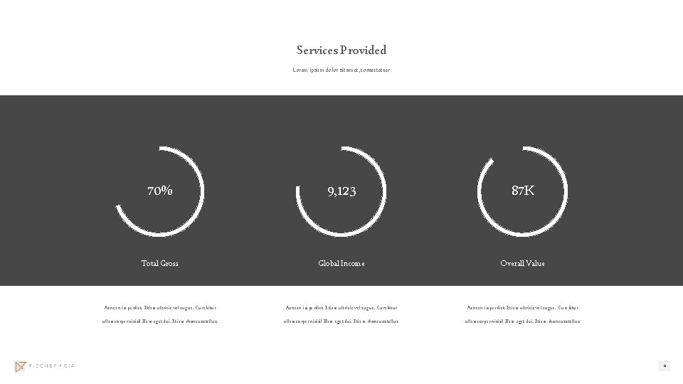 Services Provided Lorem ipsum dolor sit amet, consectetuer 70% 9, 123 87 K Total