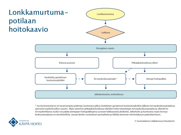 Lonkkamurtumapotilaan hoitokaavio 